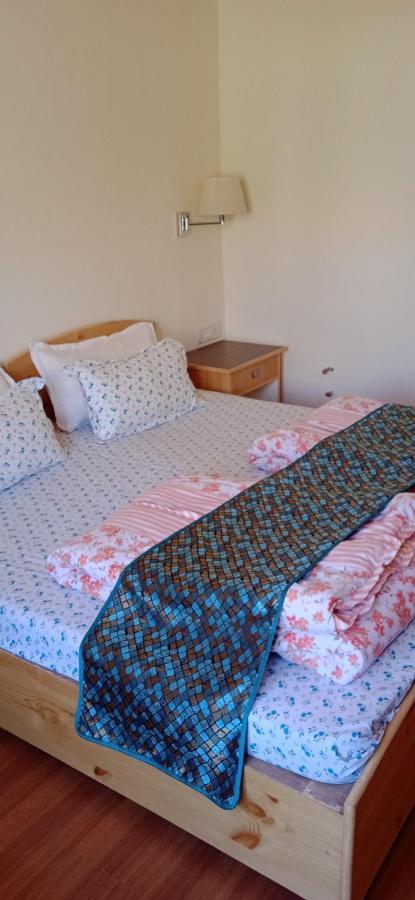Lhardak Home Stay Leh Ngoại thất bức ảnh